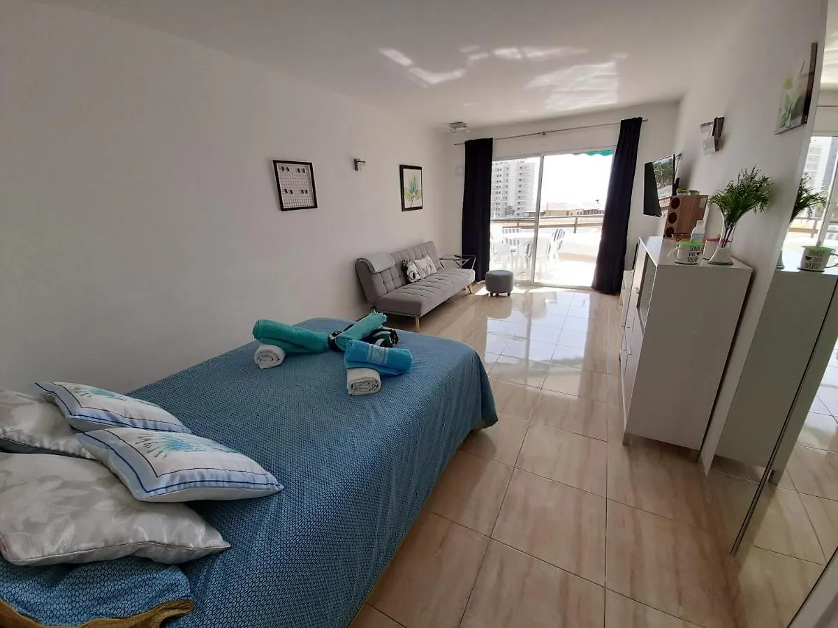 Las Flores Deluxe Apartment Playa de las Americas  0*, Playa de las Americas (Tenerife)